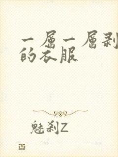 一层一层剥开我的衣服