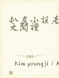 扒灰小说老马全文阅读