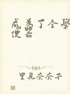 成为了全学校坐便器