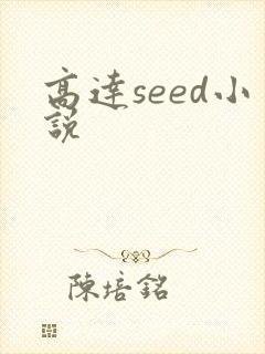 高达seed小说