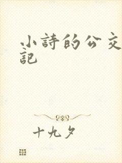 小诗的公交车日记