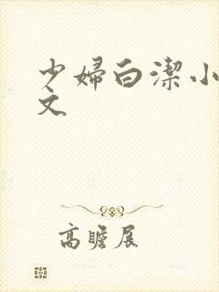 少妇白洁小说全文