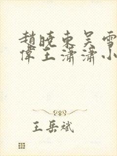 赵晓东吴雪晴郑伟王潇潇小说名字