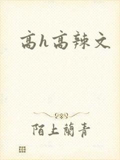 高h高辣文