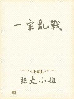 一家乱战封面