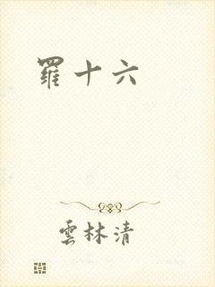 罗十六