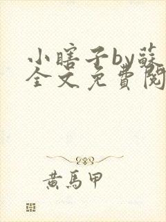 小瞎子by苏软全文免费阅读