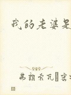 我的老婆是军阀