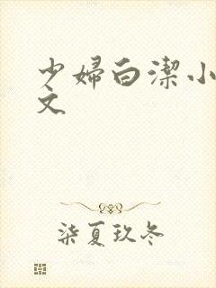 少妇白洁小说全文