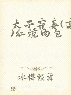 太子宠妾(高肉)红烧肉包