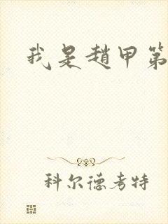 我是赵甲第小说