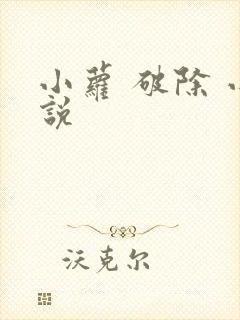 小萝 破除 小说