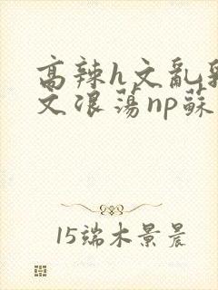 高辣h文乱乳h文浪荡np苏夏