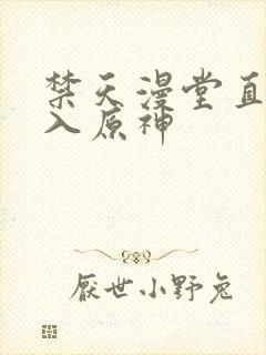 禁天漫堂直接进入原神