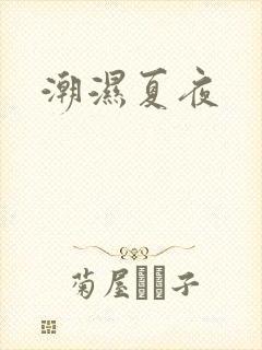 潮湿夏夜