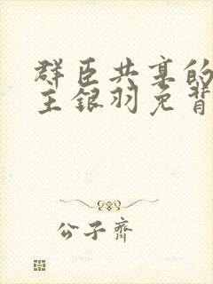 群臣共享的小公主银羽免背刺