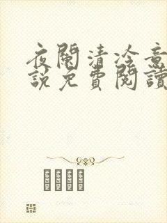 夜阑清冷意欢小说免费阅读
