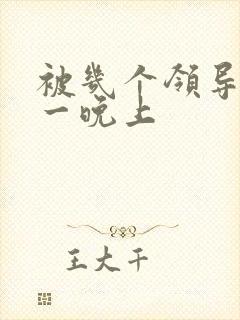 被几个领导玩弄一晚上