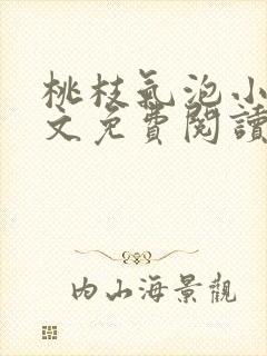 桃枝气泡小说全文免费阅读