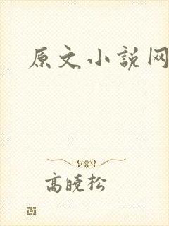 原文小说网