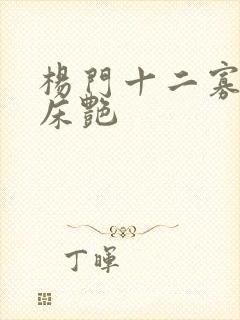 杨门十二寡妇肉床艳