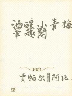 酒酿小青梅po笔趣阁