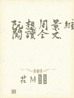 阮想周景维免费阅读全文