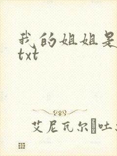 我的姐姐是美女txt