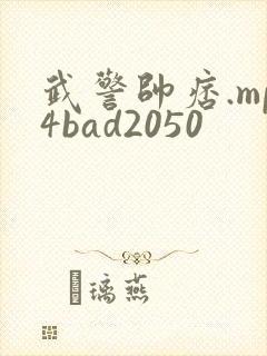 武警帅痞.mp4bad2050