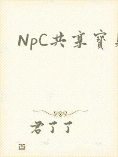 NpC共享宝贝