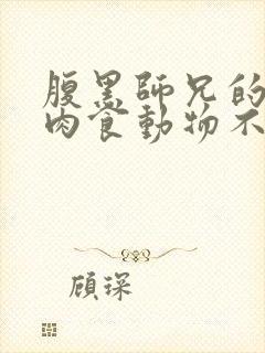 腹黑师兄的日常肉食动物不食草