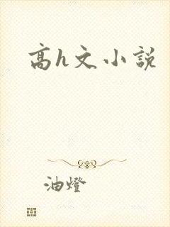 高h文小说