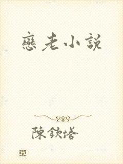 恋老小说