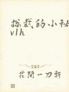 总裁的小秘书1v1h