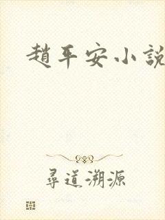 赵平安小说主角