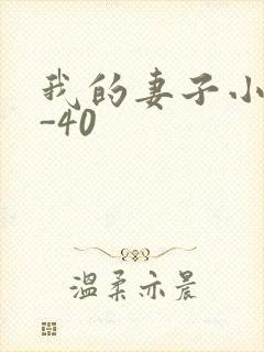 我的妻子小谨1-40