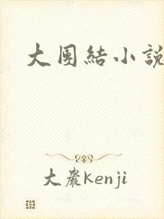 大团结小说下载