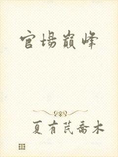 官场巅峰