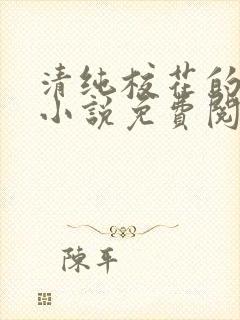 清纯校花的秘密小说免费阅读