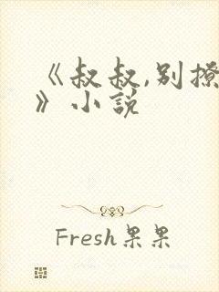 《叔叔,别撩我》小说