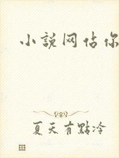 小说网站你懂的