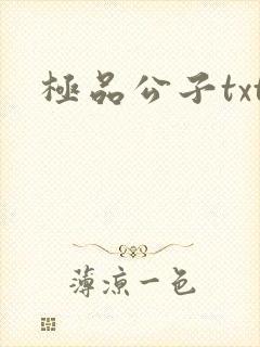 极品公子txt