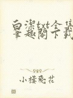 白洁txt全集笔趣阁下载