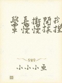 学长撕开我的乳罩慢慢揉捏小说