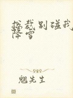 总裁别碰我 韩降雪