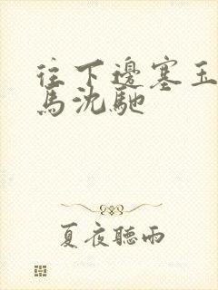 往下边塞玉器骑马沈驰