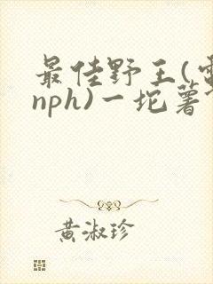 最佳野王(电竞nph)一坨薯饼