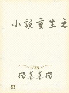 小说重生之官道