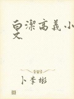 白洁高义小说全文