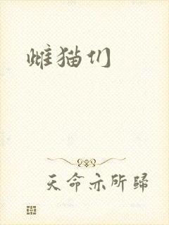 雌猫们